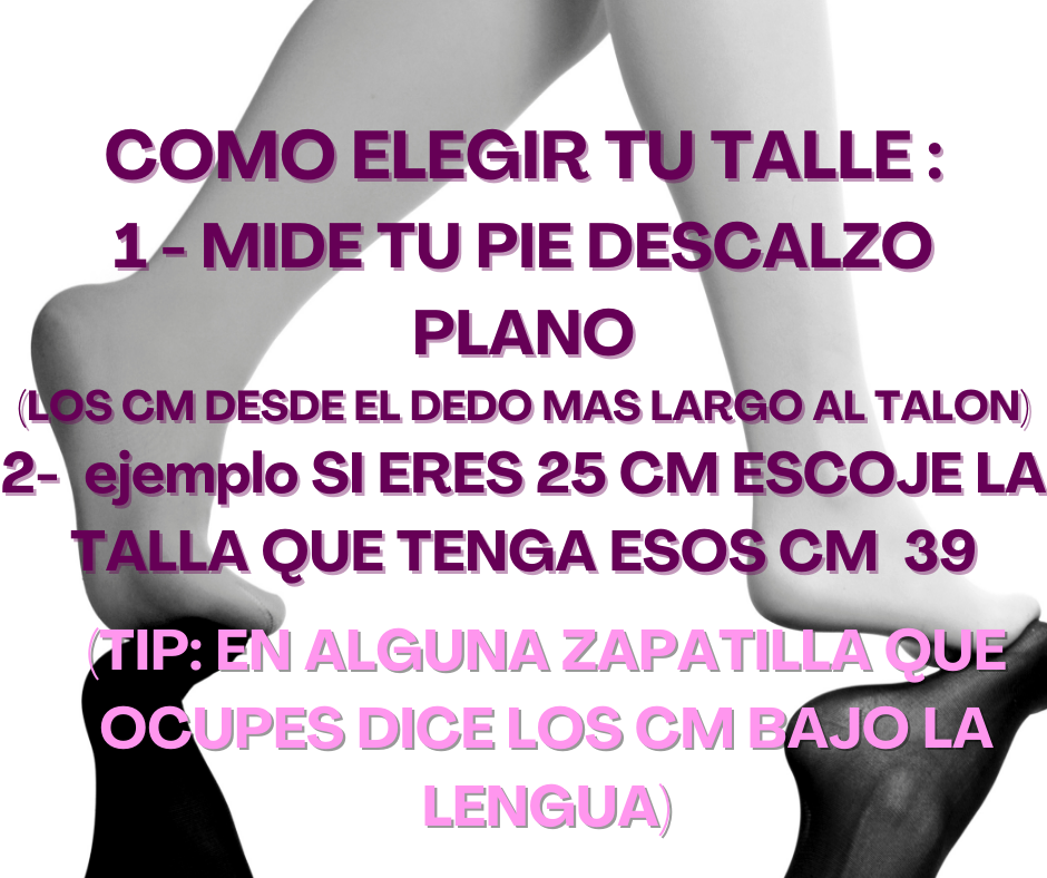 Chalas Romaní camel