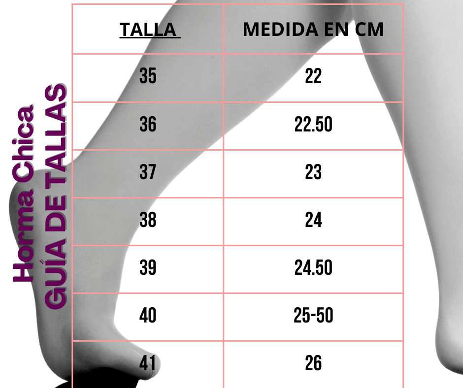 Chalas Romaní camel